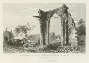 Danbury yakınlarındaki Bicknacre Manastırı, Essex kalıntıları by William Henry Bartlett
