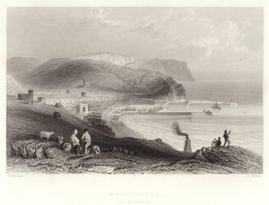 Whitehaven, (Aziz Arı kafalı) by William Henry Bartlett
