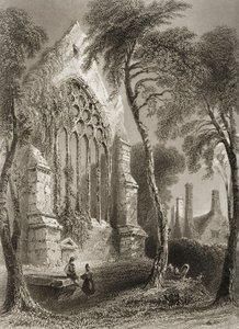 Youghal Manastırı, County Cork, İrlanda, George Virtue, 1860