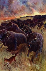 "Alevlerden kaçmak için üzerine atılan bir bufalo sürüsü gördüm" (renkli taş) by William Henry Charles Groome