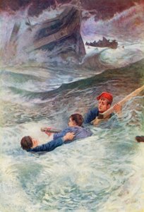 Vahşi denizde mücadele by William Henry Charles Groome