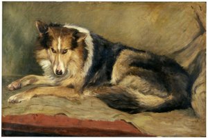 kömür ocağı köpeği