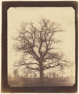  by William Henry Fox Talbot