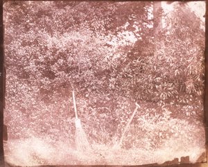 Süpürge ve Maça, 1842 by William Henry Fox Talbot