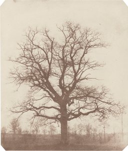  by William Henry Fox Talbot