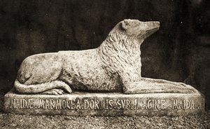 Maida Heykeli, Sir Walter Scott