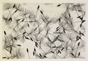 Talbot fotoğraf 24 1730 by William Henry Fox Talbot