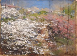 Çiçekler Tarlası, 1927. by William Henry Holmes