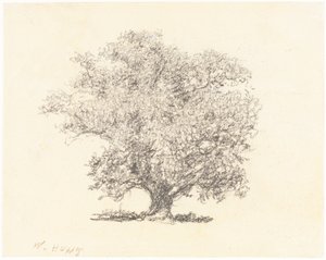 Tam Yapraklı Bir Ağaç by William Henry Hunt