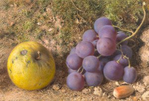 Elma, Üzüm ve Cob-Fındık by William Henry Hunt