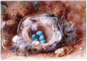 Kuş Yuvası (kağıt üzerinde bc ve wc) by William Henry Hunt