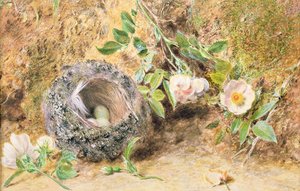 İspinoz Yuvası ile Natürmort by William Henry Hunt