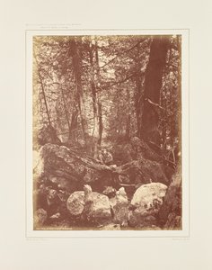  by William Henry Jackson