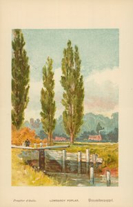 Lombardiya Kavağı by William Henry James Boot