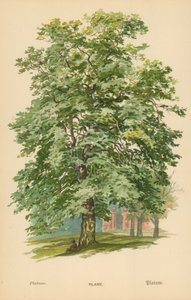 Uçak by William Henry James Boot