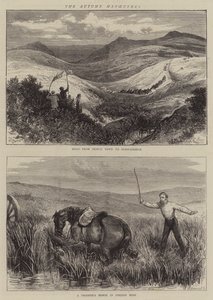 ಶರತ್ಕಾಲ ಕುಶಲ ಟರ್ಕಿ