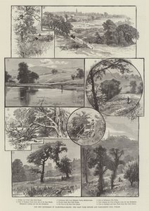 Hampstead-Heath