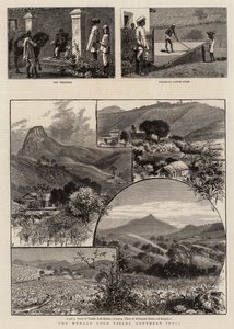 Wynaad Altın Tarlaları, Güney Hindistan by William Henry James Boot