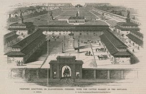 Önerilen mezbahalar veya sığır pazarı uzakta olan kesim tesisleri by William Henry Prior
