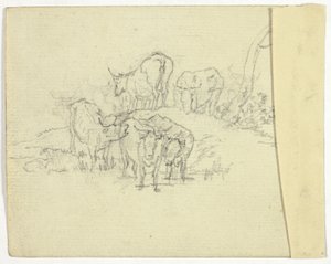 Sığır (rekto); Şarlatan (karşı) by William Henry Pyne