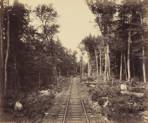 by William Herman Rau