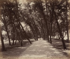  by William Herman Rau