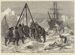 Arctic Life, Kışlık Bölgelerden Buzdan Çıkış Yolu Kesiyor