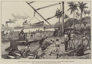 Nil Seferi, Assouan Elephantine Adası