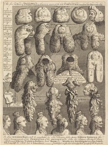 Perriwigs