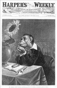 28/01/1882 tarihli “Harper