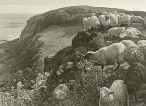 Yamaçta (gravür) by William Holman Hunt