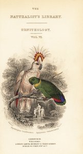 Binbaşı Mitchell'in kakadu ve siyah yakalı cennet papağanı skeçli başlık sayfası by William Home Lizars