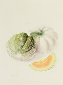 Romana Kavun, 1818