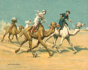 Yarışlar Tarihi ve Modern, Deve Yarışları (chromolitho)