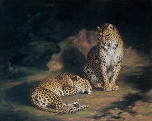 Bir Çift Leopar, 1845