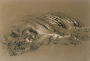 Uyuyan Kaplan, 1876 (kağıt üzerine kurşun kalem ve tebeşir)