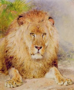 Aslan