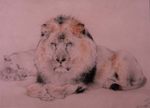 aslan ve dişi aslan by William Huggins
