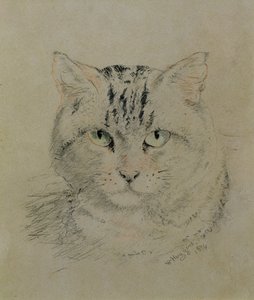 Tekir Kedi, 1874 (kağıt üzerine kurşun kalem, pastel boya ve karakalem)