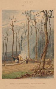 Bahar -- Kuşaklı Bir Açıklıkta Düşen Ağaçları Yakmak. Batı Sahnesi by William James Bennett after George Harvey