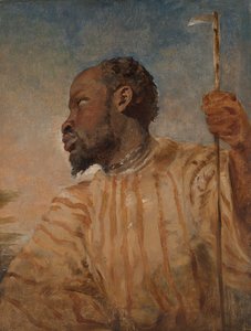 Köleleştirilmiş bir Afrikalı by William James Muller