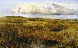 Rhoscolyn, Anglesey (gemide yağ)
