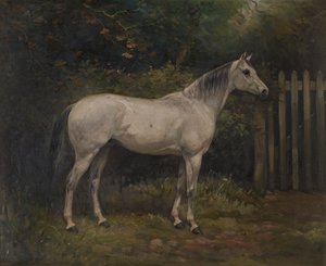 Turşu: Basuto midillisi, c.1904 (tuval üzerine yağlı boya) by William Josiah Redworth