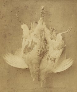  by William Lake Price
