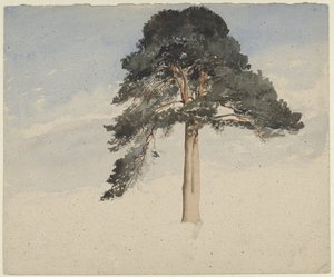 İskoç çam ağacı by William Leighton Leitch