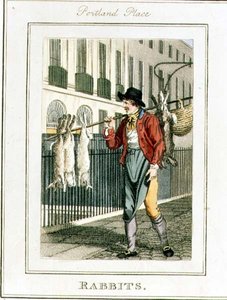 Tavşanlar, Portland Place, 