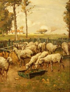 Koyun Kıvrımı by William McBride
