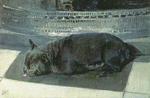 Napolyon by William Nicholson