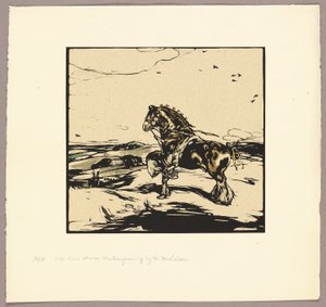  by William Nicholson