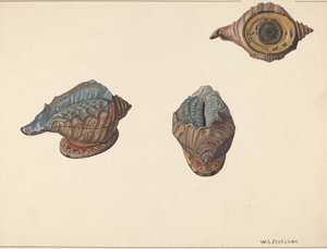 Shell Out Bankası, c. 1938. by William O. Fletcher